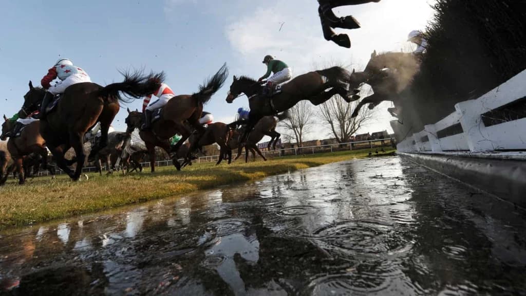 Cheltenham festival - Stayers hurdle preview