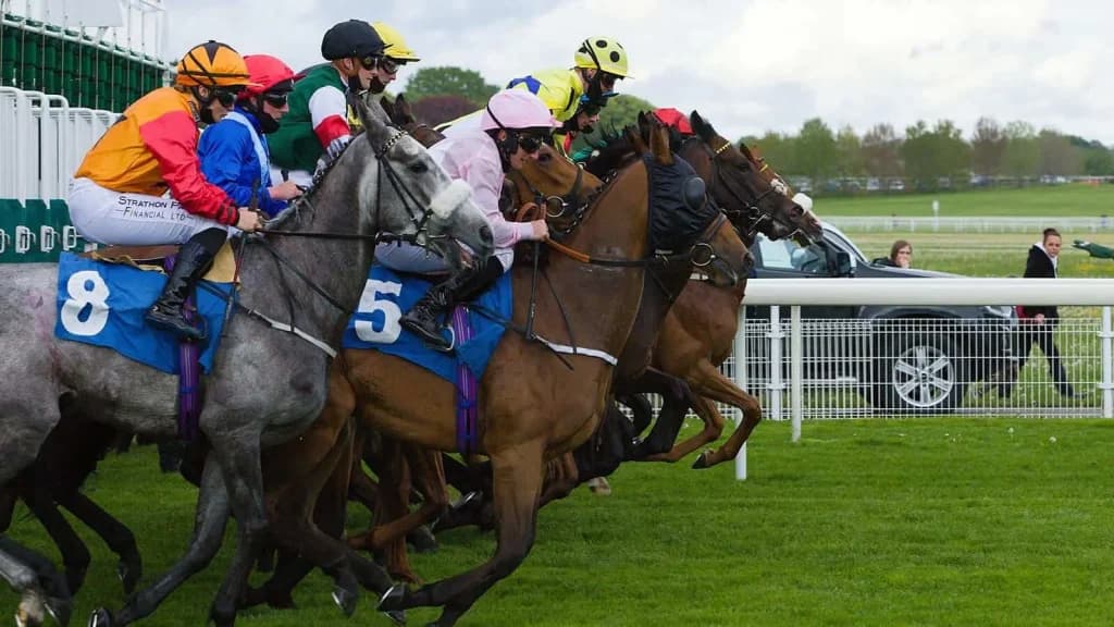 Saturday’s Horse Racing Tips: Ascot, York, July 27th