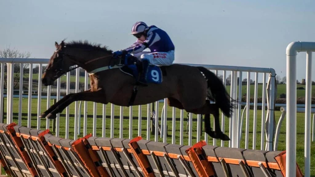 Thursday's Horse Racing Tips: Wincanton, February 1st