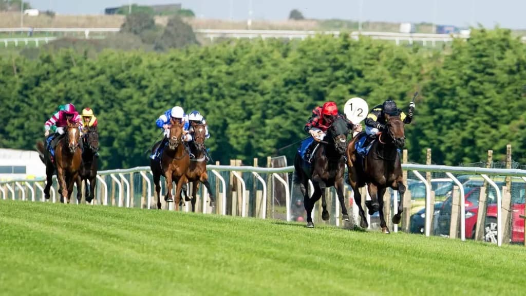Tuesday's Horse Racing Tips: Brighton, August 20th