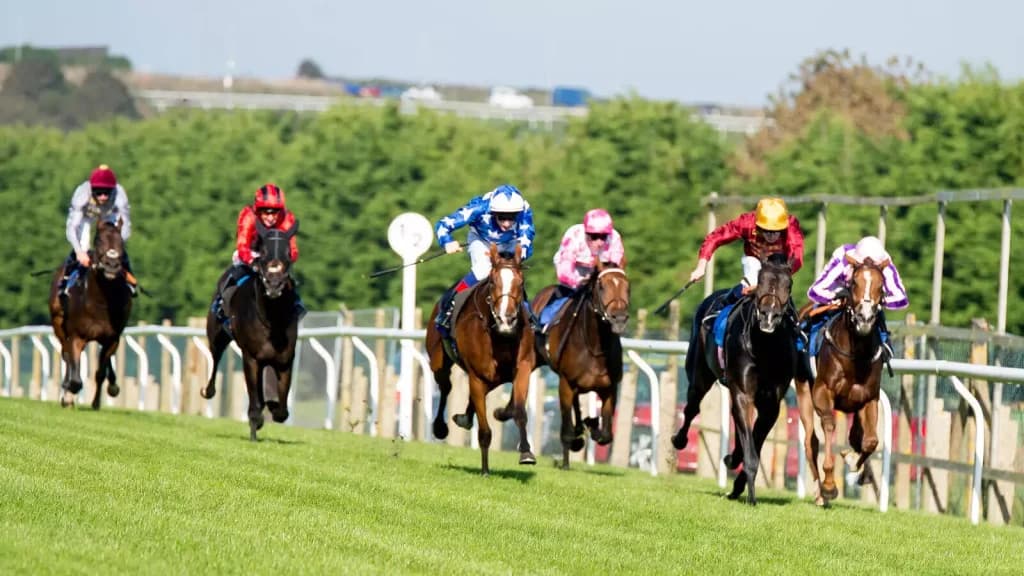 Sunday’s Horse Racing Tips: Brighton, September 3rd