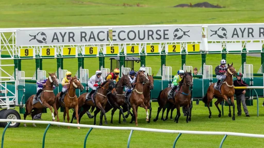 Tuesday’s Horse Racing Tips: Ayr, October 3rd