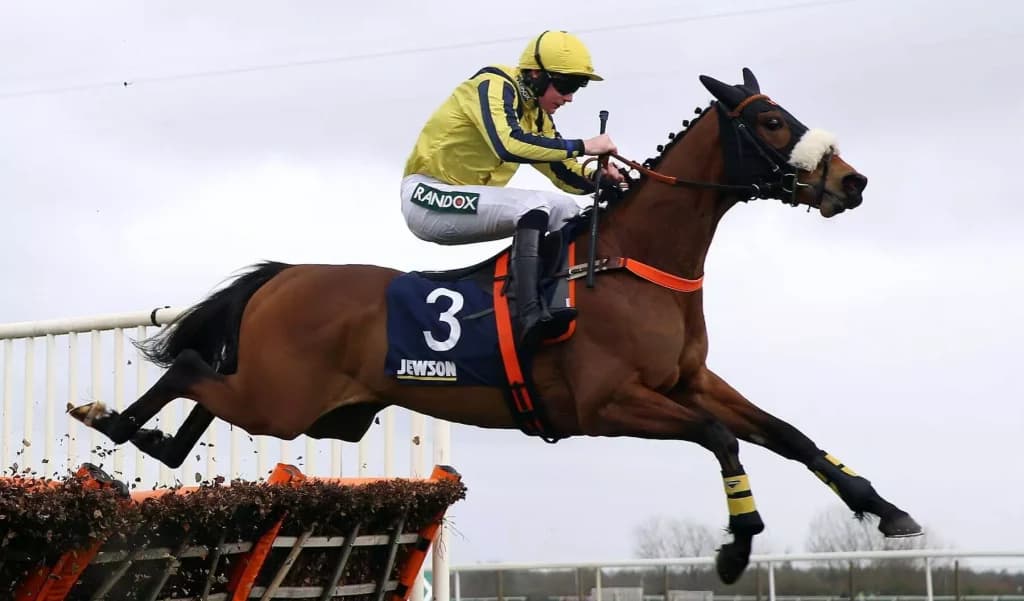 Tuesday’s Horse Racing Tips: Hamilton, August 16th