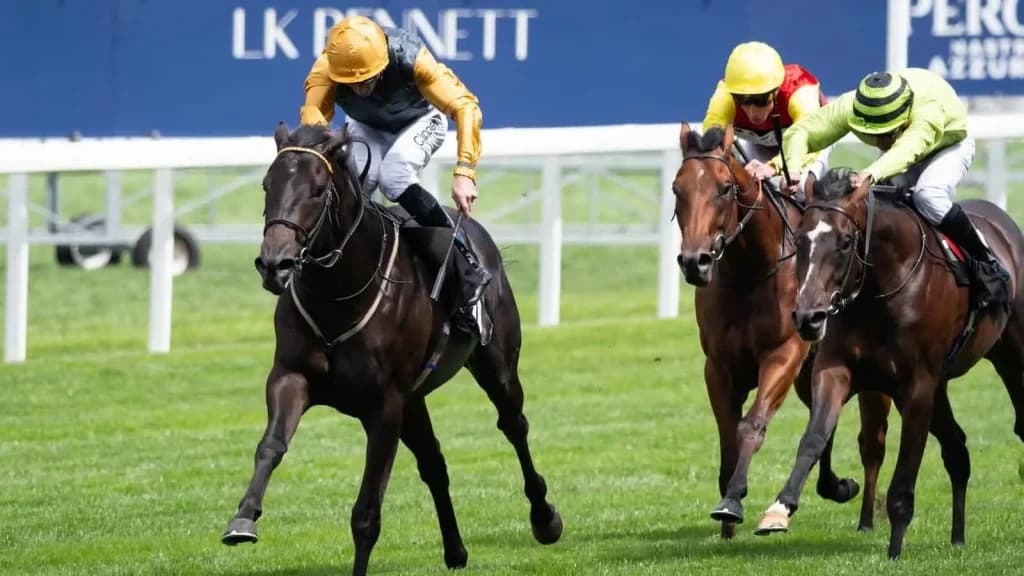 Saturday’s Horse Racing Tips: Ascot, Wetherby, November 2nd