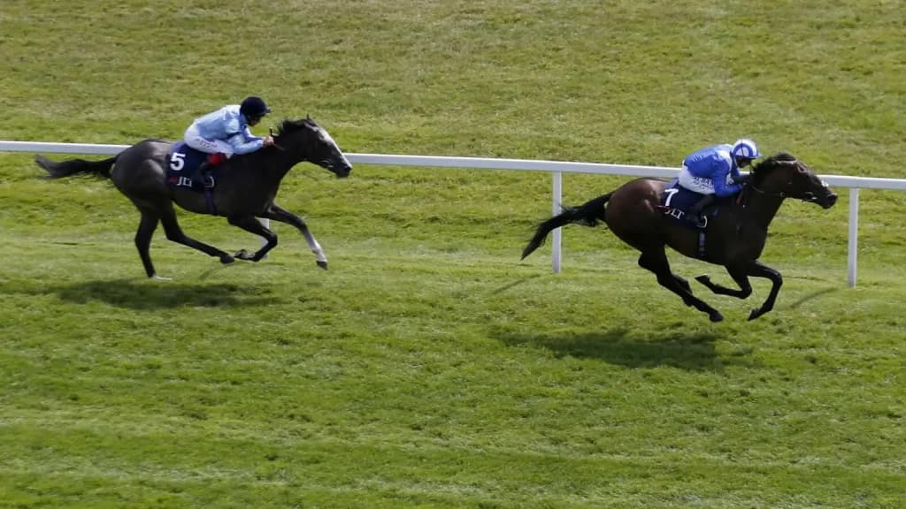 Friday's Horse Racing Tips: Newbury, September 20th