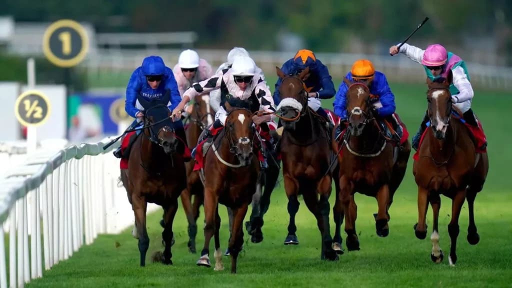 Friday’s Horse Racing Tips: Sandown, December 2nd