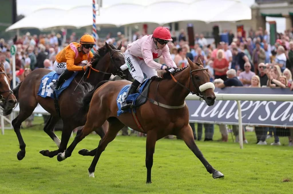 Thursday’s Horse Racing Tips: Ebor, August 18th