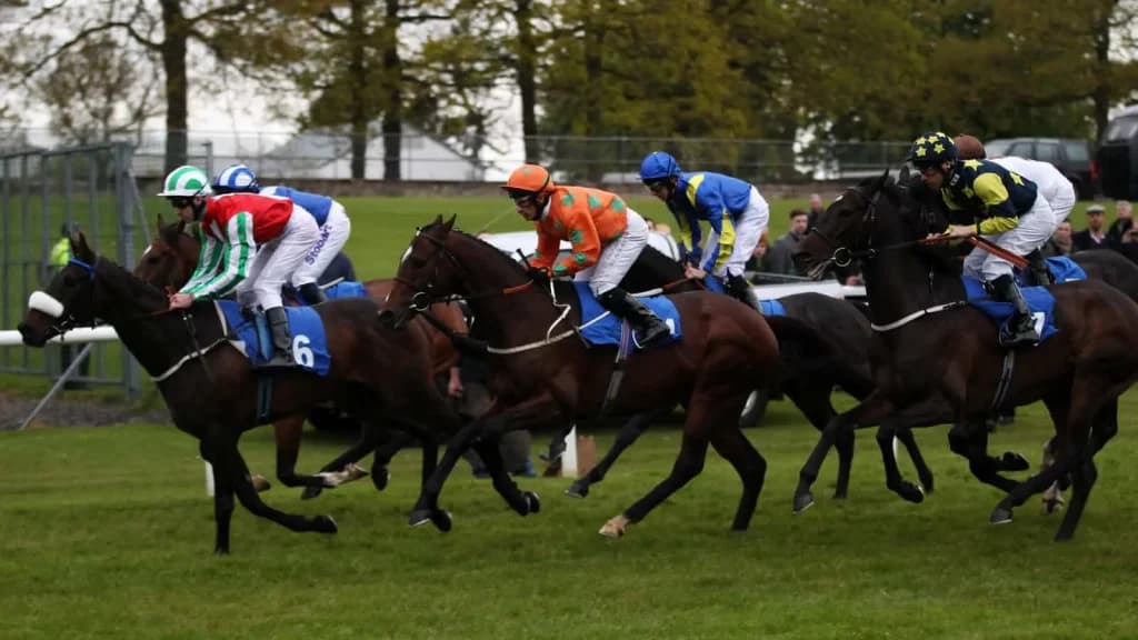 Sunday’s Horse Racing Tips: Hamilton, June 2nd