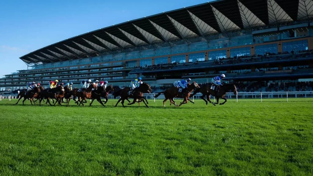 Saturday’s Horse Racing Tips: Ascot, Lingfield, Haydock Park May 11th