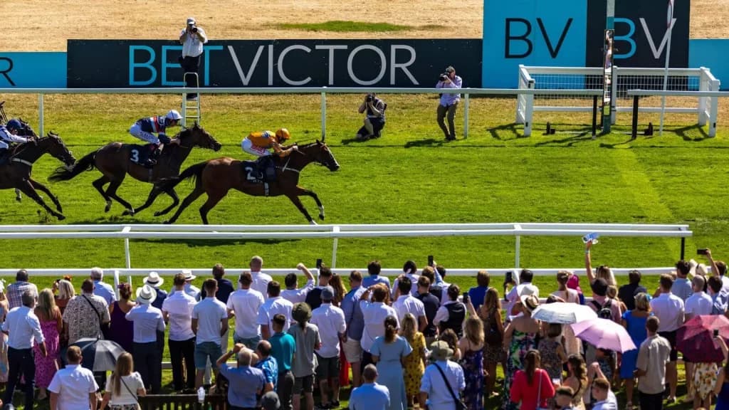 Friday’s Horse Racing Tips: Newbury, September 16th