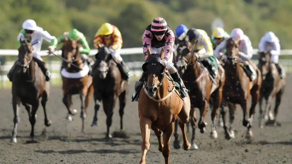 Saturday’s Horse Racing Tips: Ascot, Lingfield, Haydock January 20th