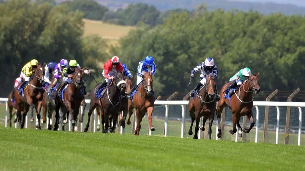 Tuesday's Horse Racing Tips: Pontefract, July 9th