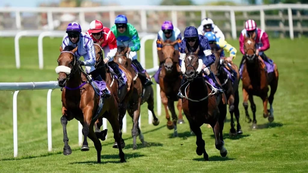 Tuesday’s Horse Racing Tips: Beverley, September 20th