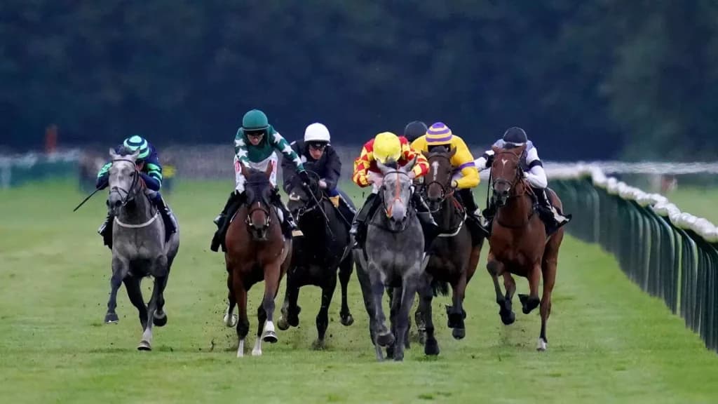 Wednesday’s Horse Racing Tips: Nottingham, September 28th