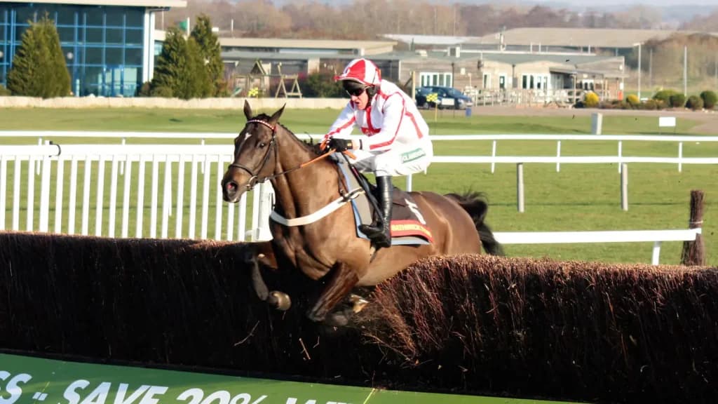 Tuesday's Horse Racing Tips: Newbury, January 23rd