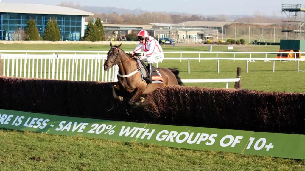 Saturday’s Horse Racing Tips: Newbury, Newcastle, November 30th