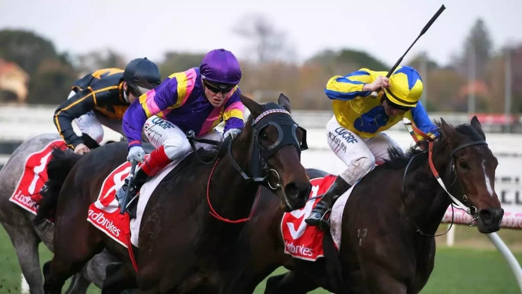 Monday’s Horse Racing Tips: Brighton, August 21st