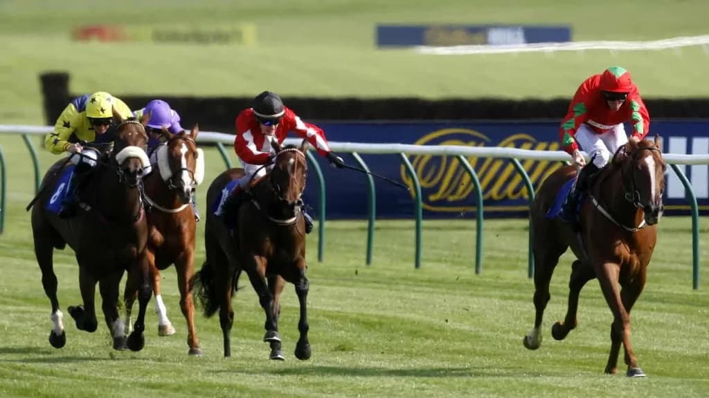 Monday's Horse Racing Tips: Ayr, July 22nd