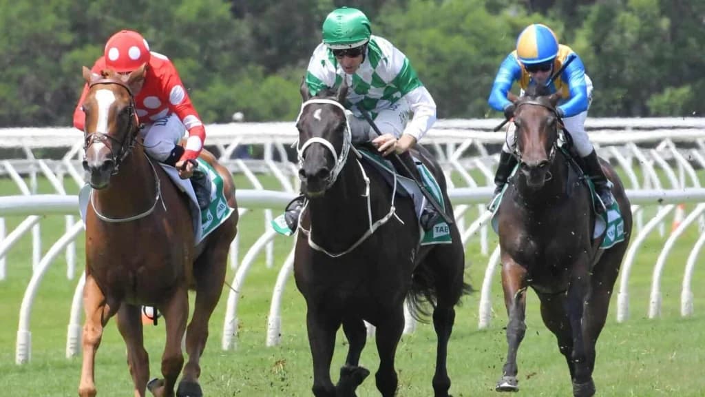 Monday's Horse Racing Tips: Warwick, January 20th