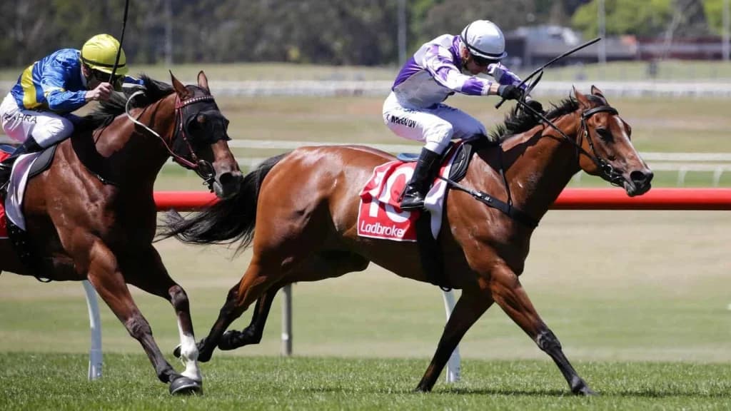 Friday's Horse Racing Tips: Sandown, January 24th