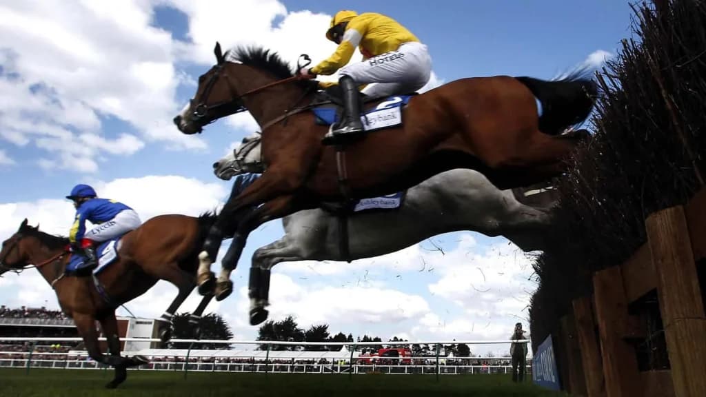 Monday's Horse Racing Tips: Ayr, July 8th