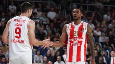 Fenerbahce vs Crvena Zvezda Prediction, Picks, Odds, News, Injury Report 10/15/24