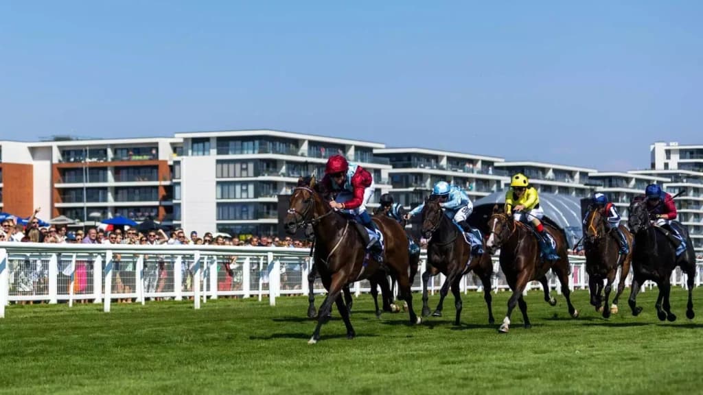 Friday’s Horse Racing Tips: Newbury, November 25th