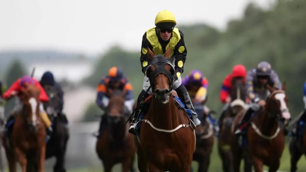 Monday’s Horse Racing Tips: Hamilton, September 25th