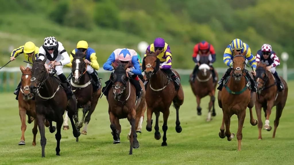 Wednesday’s Horse Racing Tips: Nottingham, October 12th