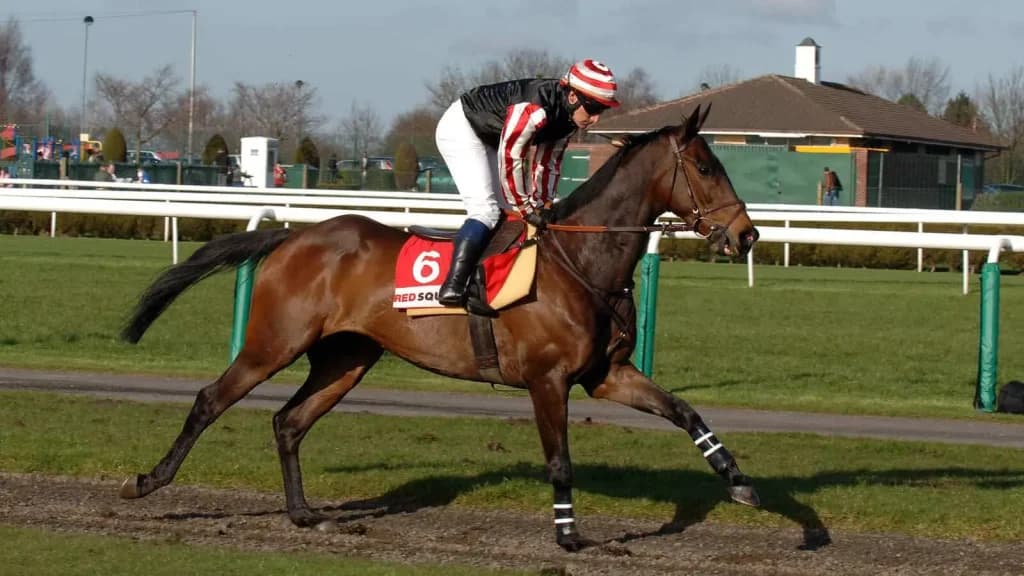 Friday's Horse Racing Tips: Haydock, October 18th