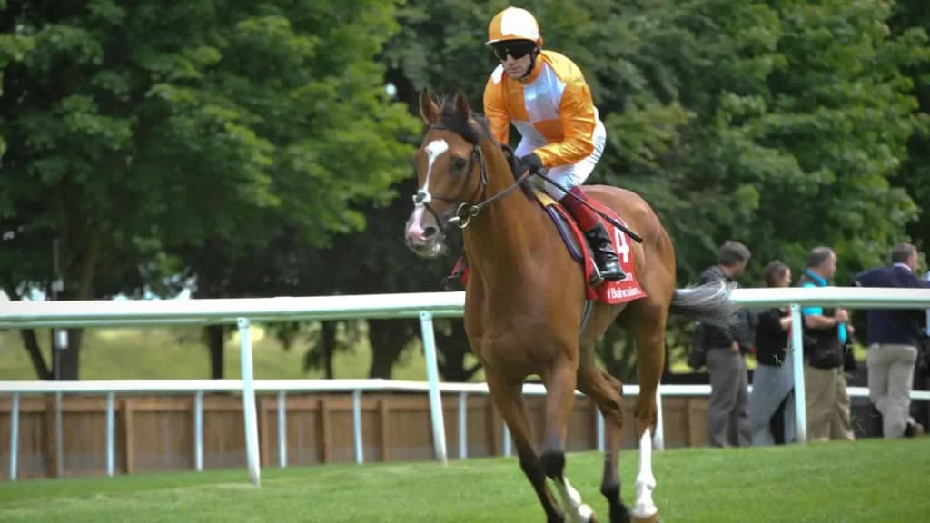 Thursday's Horse Racing Tips: Newmarket, September 26th