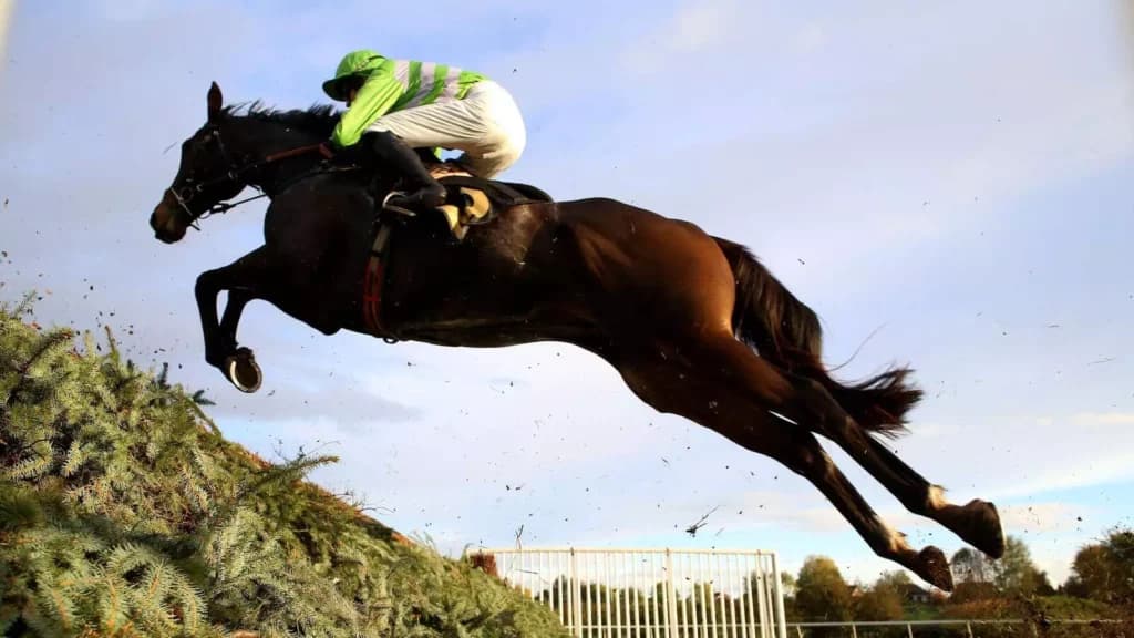 Saturday's Horse Racing Tips: Aintree, Sandown, December 3rd