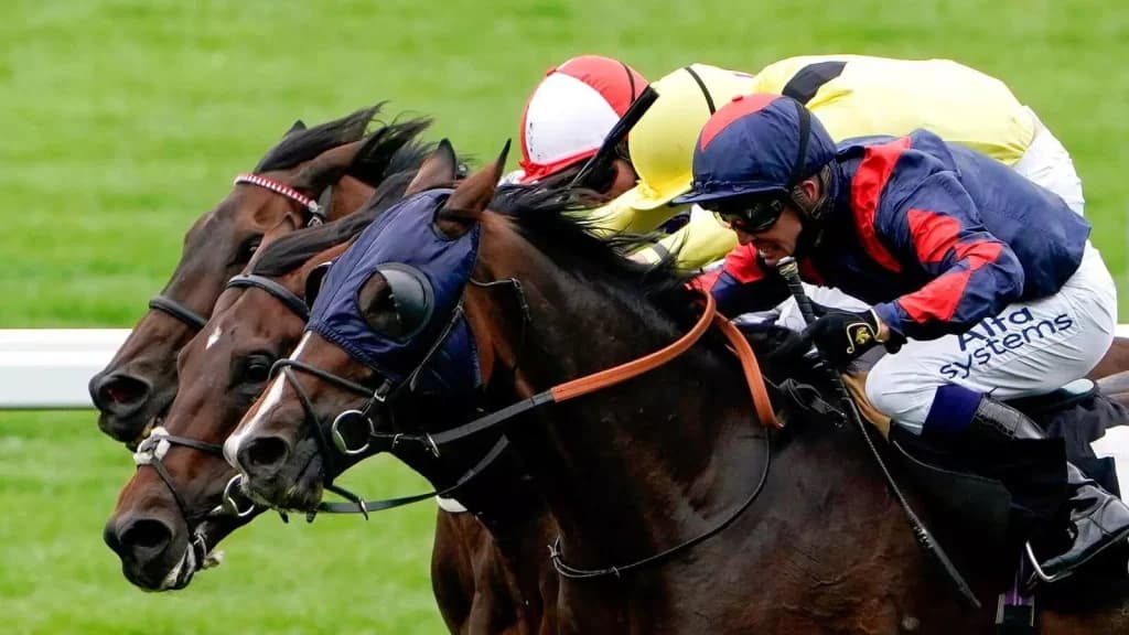 Friday’s Horse Racing Tips: Ascot, November 24th