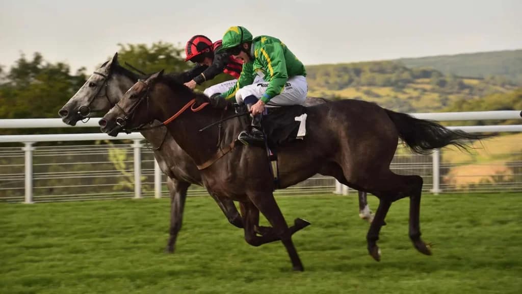 Tuesday's Horse Racing Tips: Goodwood, July 30th