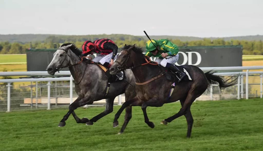 Sunday’s Horse Racing Tips: Goodwood, August 28th