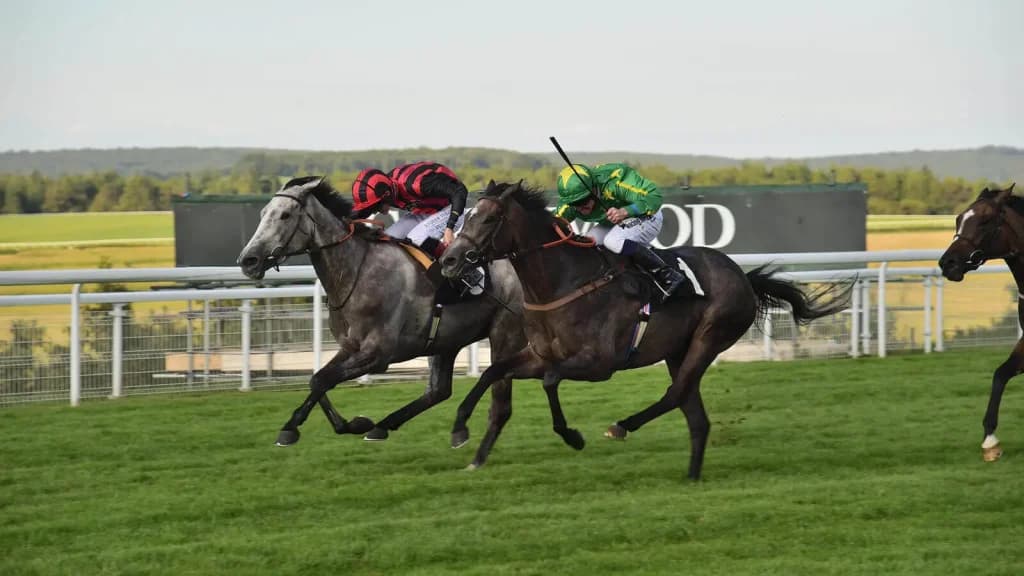 Friday's Horse Racing Tips: Goodwood, May 3rd