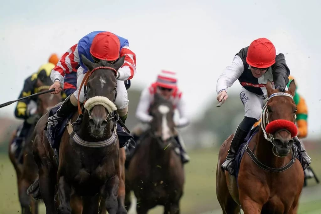 Friday’s Horse Racing Tips: Brighton, August 5th