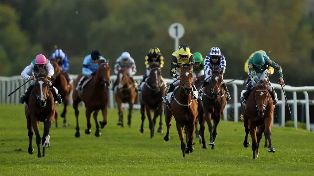 Tuesday's Horse Racing Tips: Leicester, June 4th