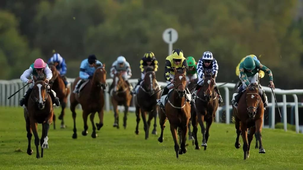 Wednesday’s Horse Racing Tips: Leicester, December 28th
