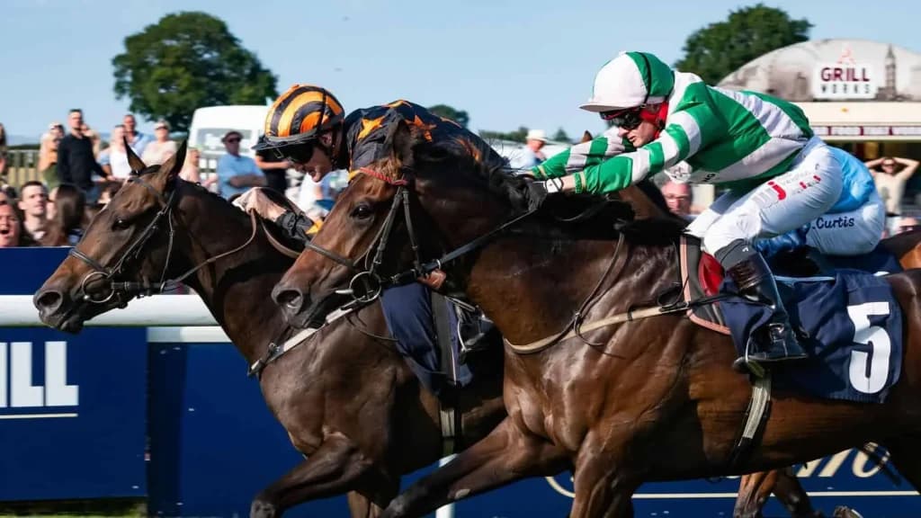 Wednesday's Horse Racing Tips: Beverley, August 14th