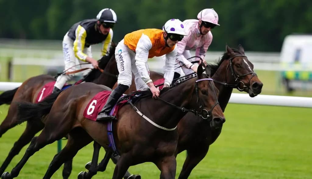 Saturday's Horse Racing Tips: Haydock, Kempton, Ascot September 3rd