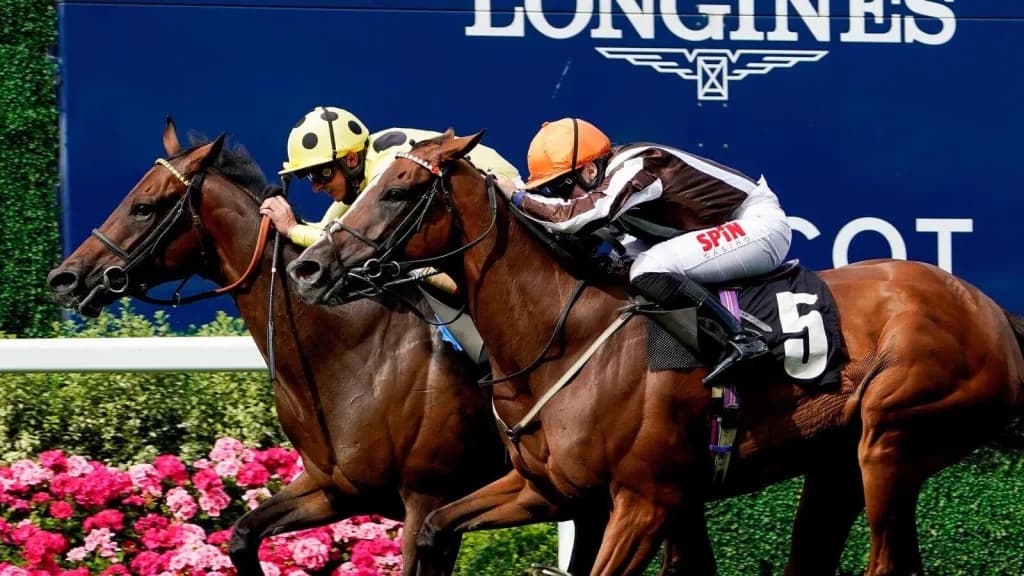 Saturday’s Horse Racing Tips: Ascot, October 21st