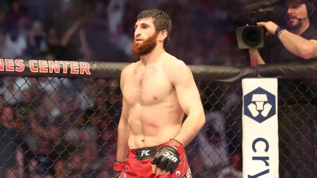 UFC 282 Jan Blachowicz vs Magomed Ankalaev Best Bet: A New Champion?