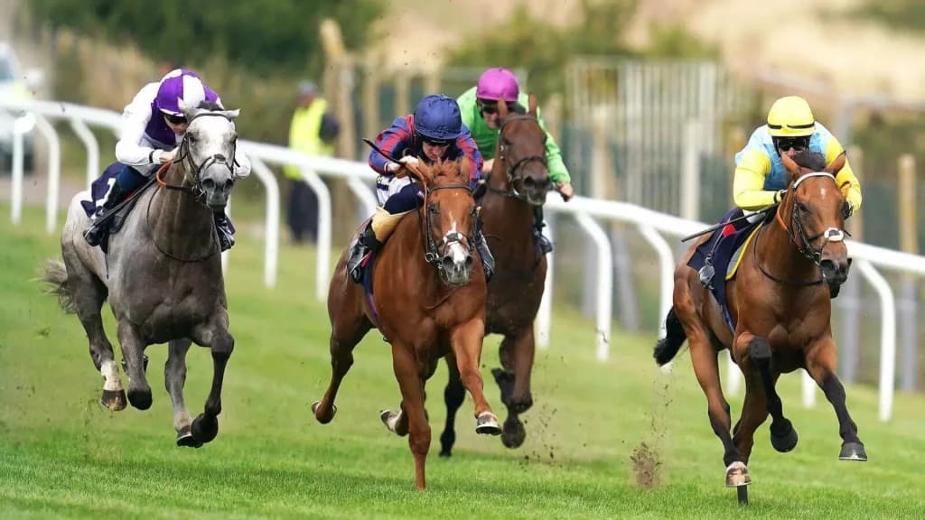 Tuesday’s Horse Racing Tips: Brighton, June 13th