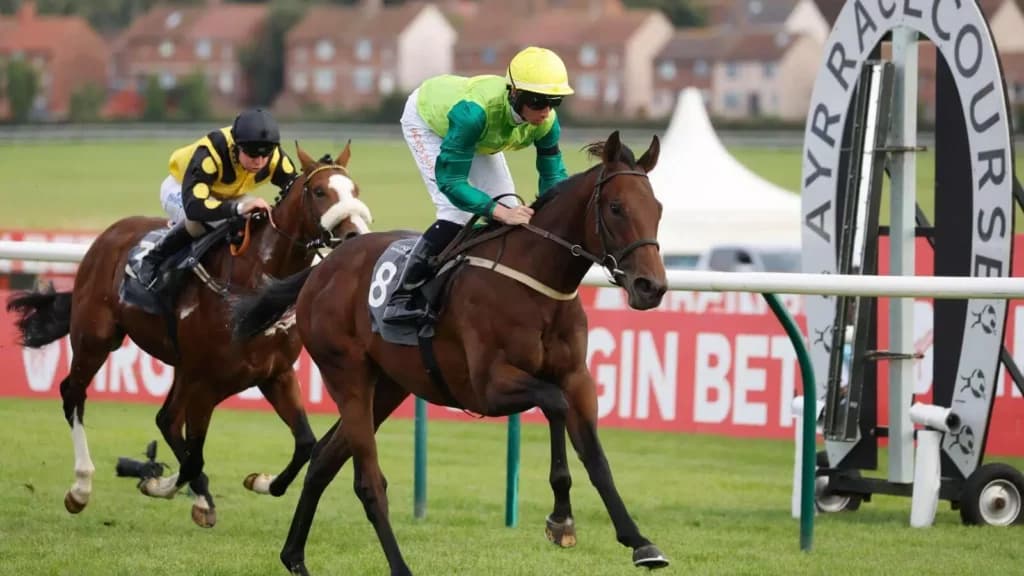 Monday’s Horse Racing Tips: Ayr, October 24th