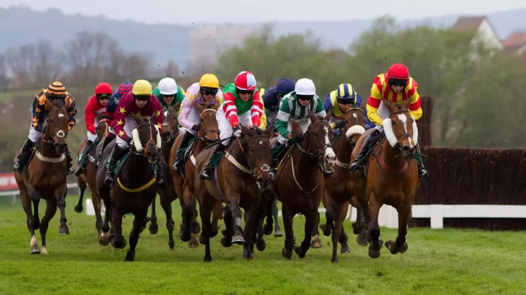 Tuesday’s Horse Racing Tips: Cheltenham, March 14th