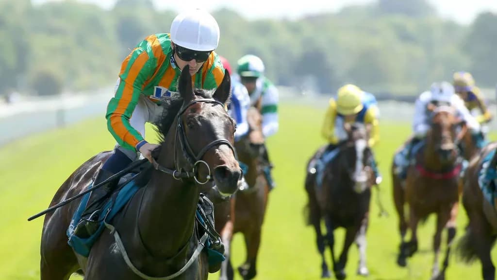 Friday’s Horse Racing Tips: York, June 16th
