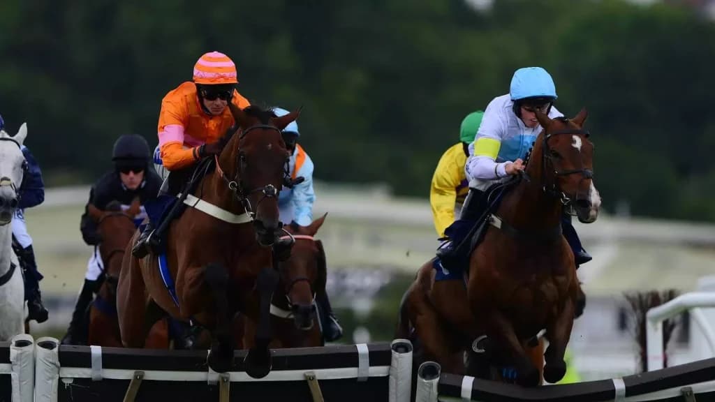 Tuesday’s Horse Racing Tips: Catterick, August 8th