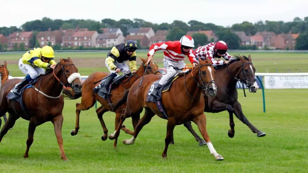 Monday’s Horse Racing Tips: Ayr, May 8th