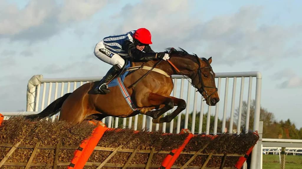 Monday’s Horse Racing Tips: Plumpton, December 4th